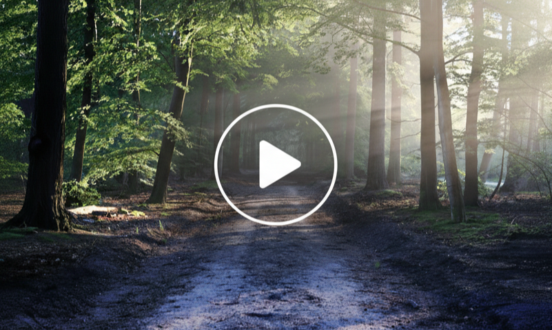 Streamlined LLM-Powered Video Content Automation